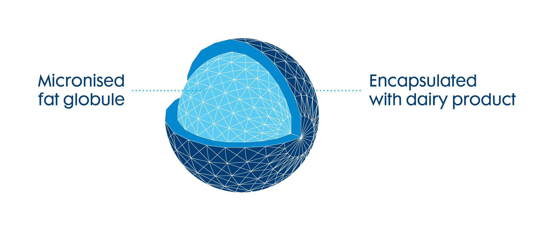 Encapsulation_TN Sprayfo overview