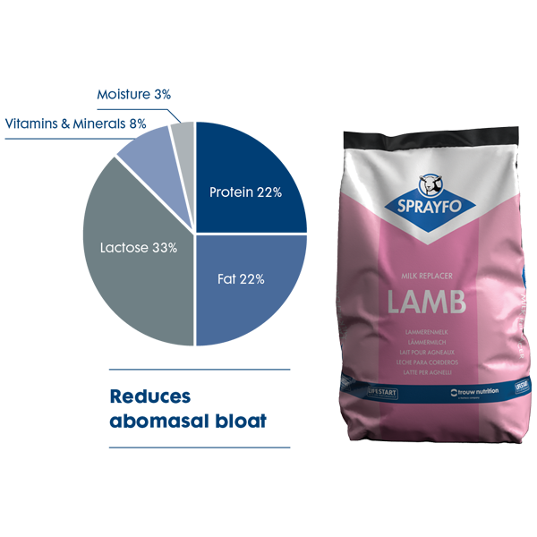 primo-lamb-600