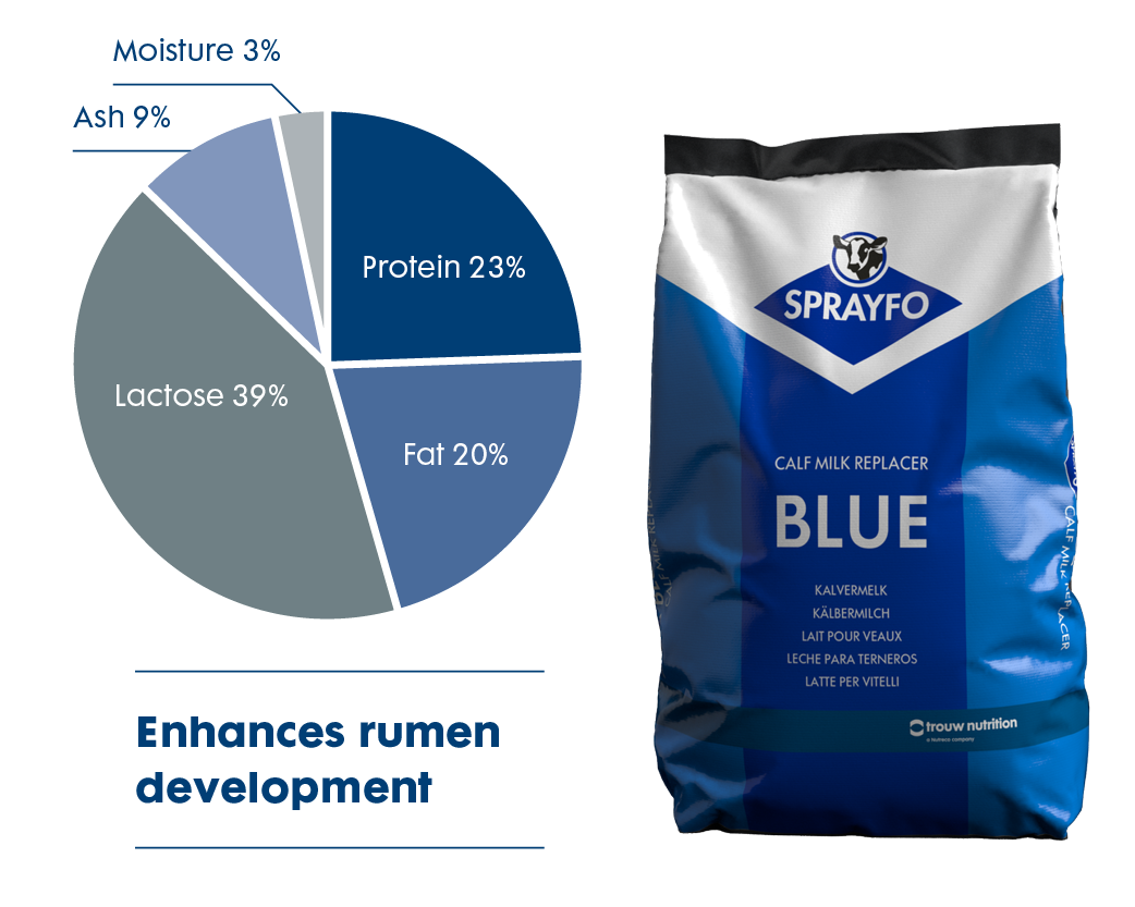 Sprayfo products and pie chart_Blue premium